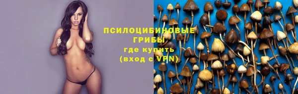 молекула духа Балахна