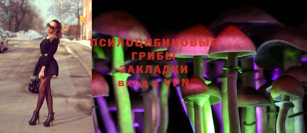 мдпв Саяногорск