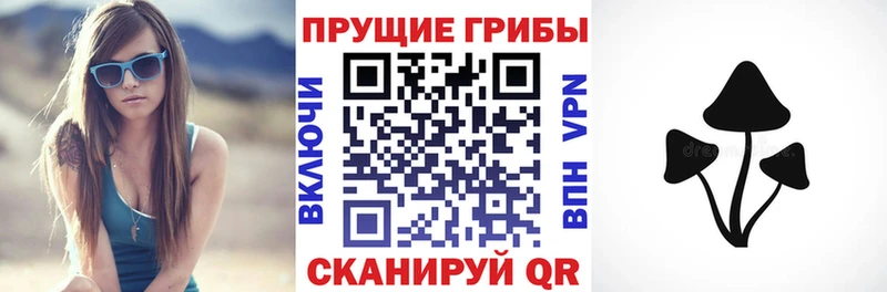 Псилоцибиновые грибы Cubensis  Белая Холуница 